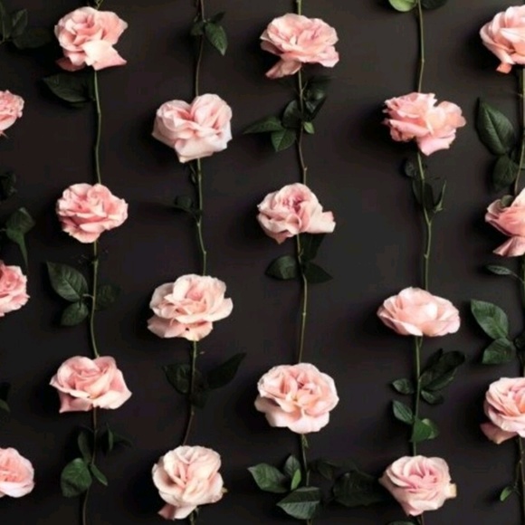 Meet your Posher, Isela - Picture 1 of 1